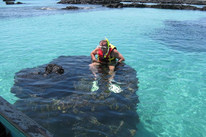 Ile isabela aux galapagos