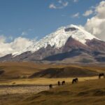 10 Jours sur la route des volcans en Équateur