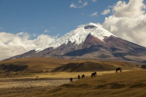 Lire la suite à propos de l’article 10 Jours sur la route des volcans en Équateur