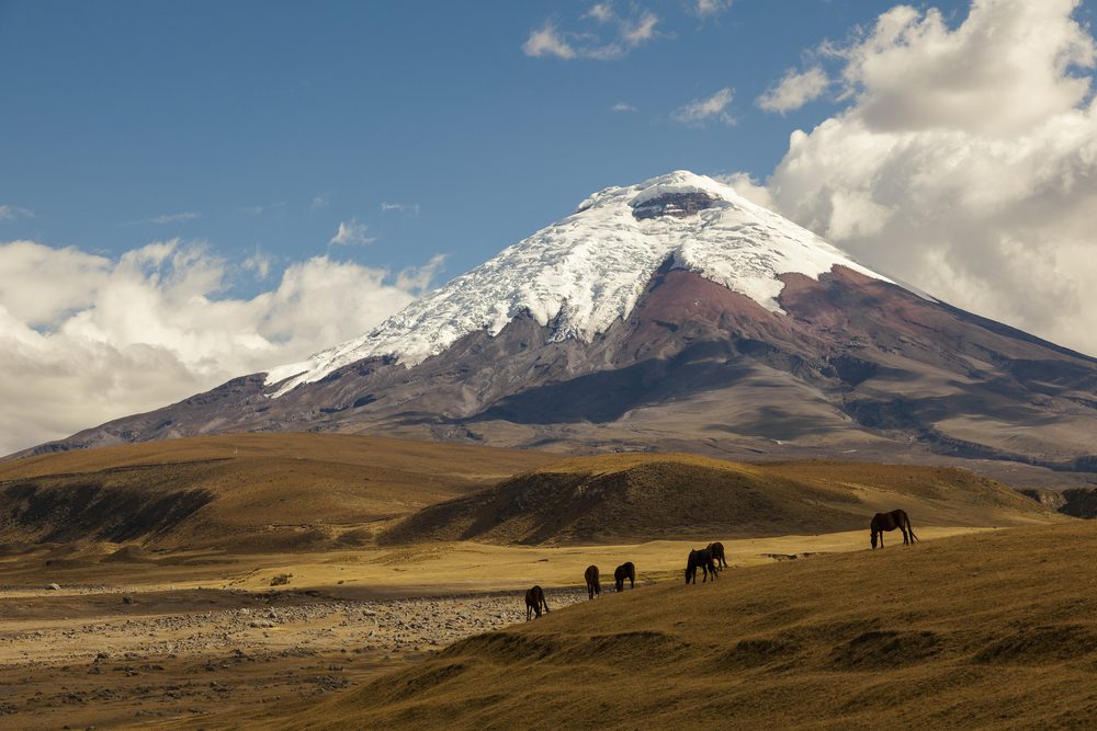 You are currently viewing 10 Jours sur la route des volcans en Équateur