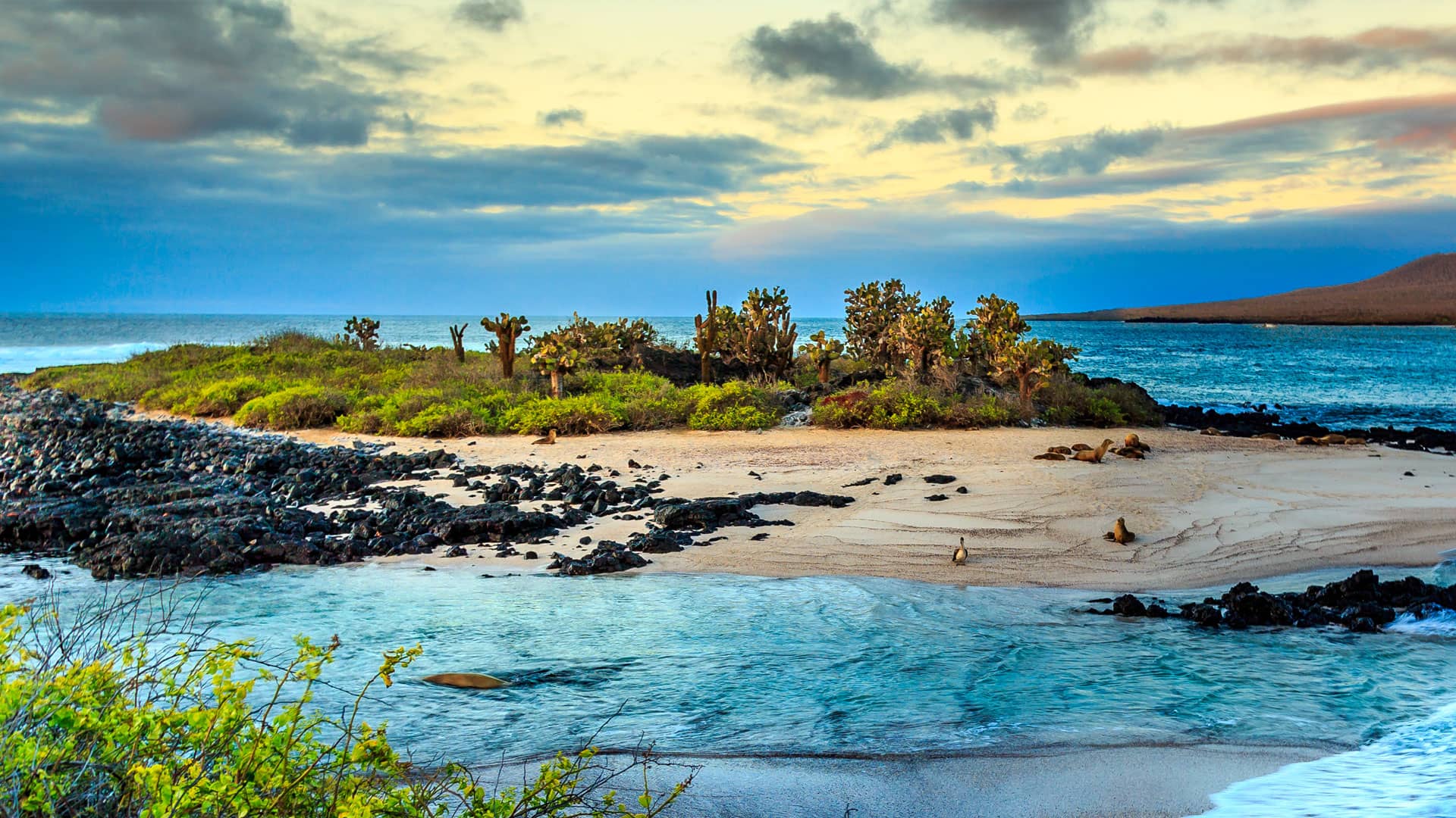 Iles Galapagos, découvrez les iles équatoriennes