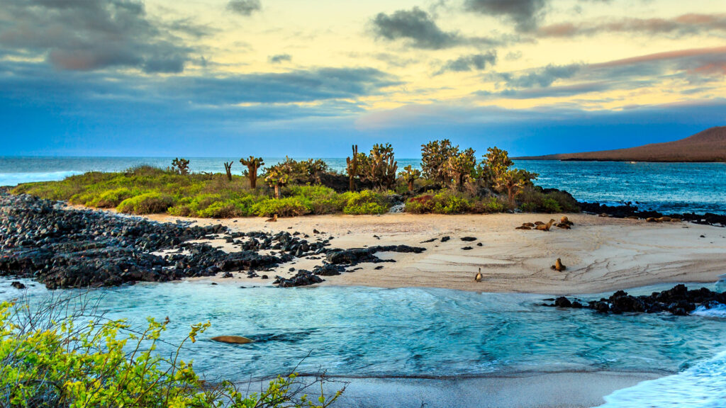 iles galapagos