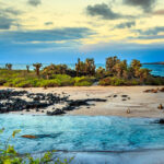 Guide de voyage des îles Galapagos : un paradis à découvrir