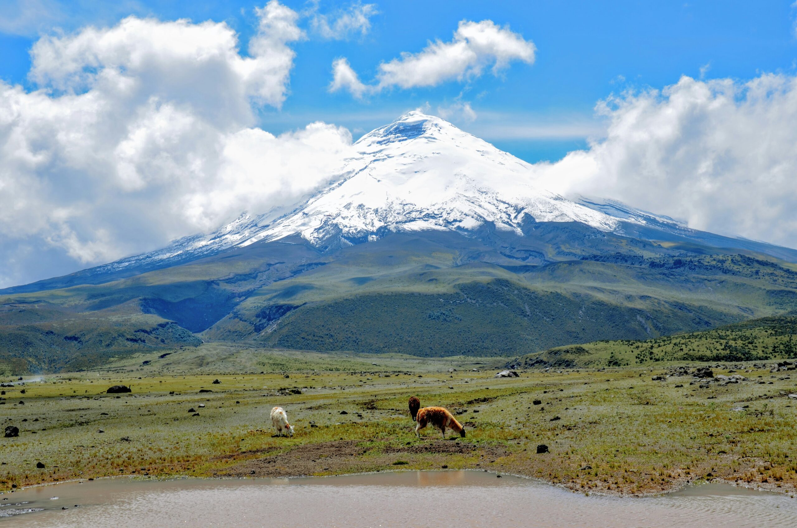 Volcan du cotopaxi , depuis latacunga