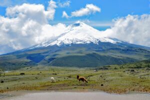 Lire la suite à propos de l’article À la découverte du Volcan Cotopaxi en Équateur